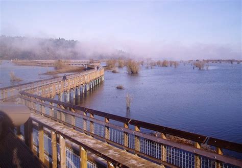 Billy Frank Jr. Nisqually National Wildlife Refuge — Washington Trails Association