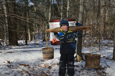 Sugarbush Maple Syrup Festival - Home