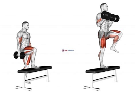 Dumbbell Step Up Single Leg Balance with Bicep Curl - Home Gym Review