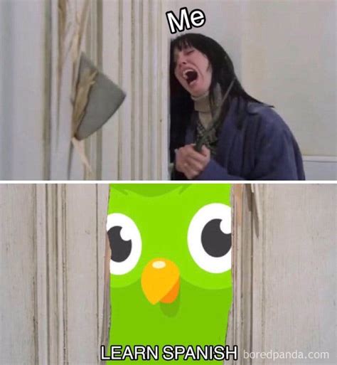 Duolingo Memes: How the Duolingo Owl Became a TikTok Star