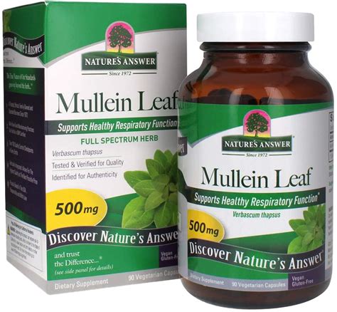 Mullein Leaf (Gordolobo) 500 mg, 90 Capsules | Mullein Leaf Benefits ...