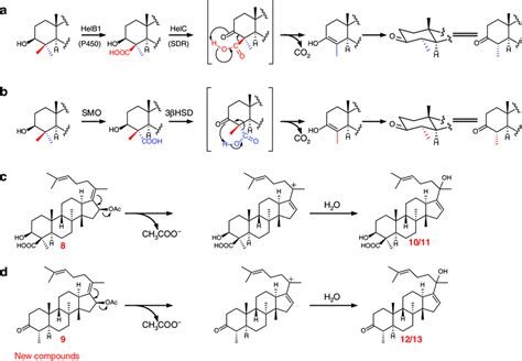 Proposed reaction mechanisms. a C-4 demethylation process in helvolic... | Download Scientific ...