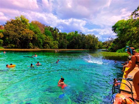 Swimming platform at Rainbow Springs Florida State Park 3 - 2TravelDads