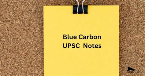 Blue Carbon UPSC: Notes and Tips on Blue Carbon Initiative for UPSC ...