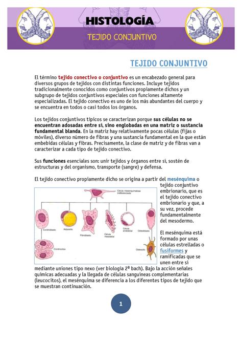 Organos Del Tejido Conjuntivo - Dinami