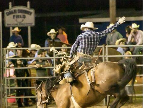 Home | Union County Fair