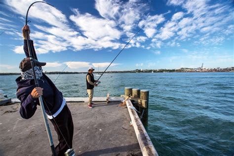 Wharf fishing - 10 things you need to know - The Fishing Website