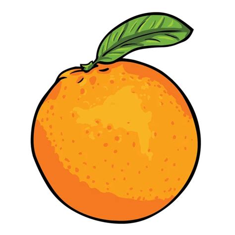 Orange peel Stock Vectors, Royalty Free Orange peel Illustrations | Depositphotos®