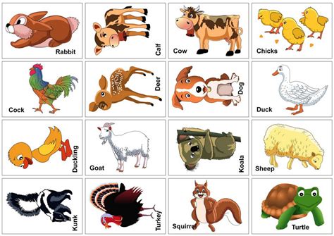 Printable Farm Animal Flash Cards