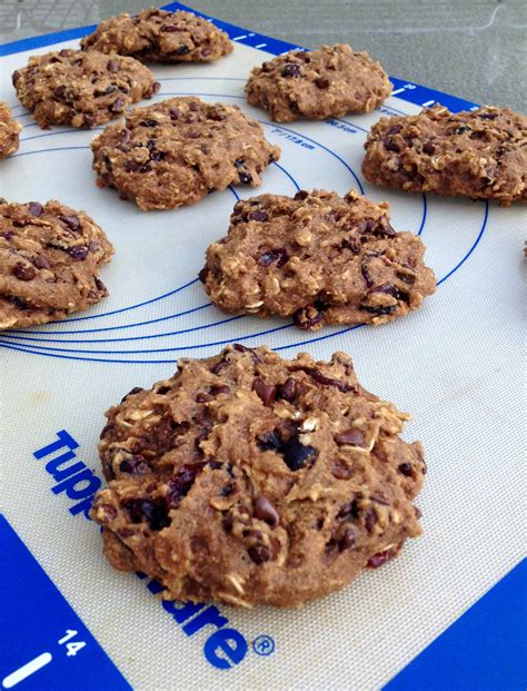 Whole Grain Oatmeal Cookies with Cranberries and Chocolate - Juggling ...