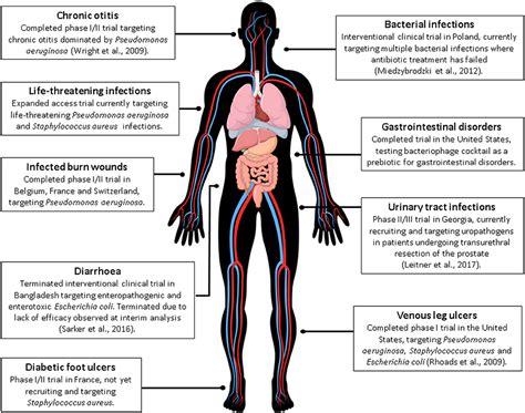 Frontiers | Bacteriophage Therapy: Clinical Trials and Regulatory Hurdles