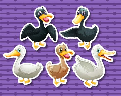 Free: Different color of ducks Free Vector - nohat.cc
