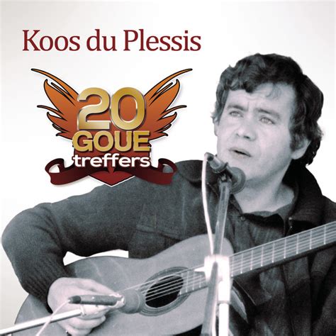 20 Goue Treffers - Album by Koos Du Plessis | Spotify