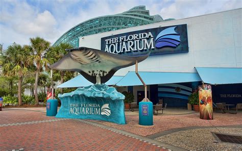 The Florida Aquarium – Tampa Bay Night Life