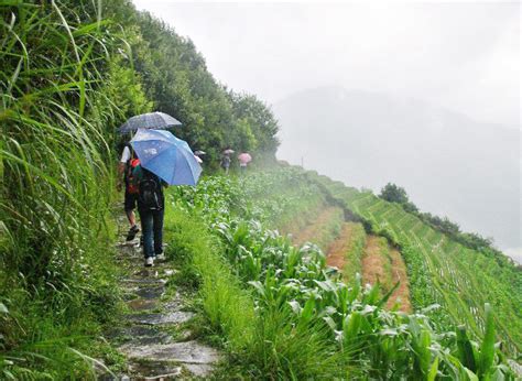 Ping'an Zhuang Longji and Dazhai Yao Rice Terraces Hiking, Guilin Travel Tours - Easy Tour China