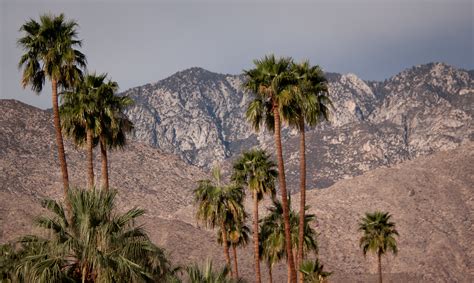 12 Unique Things to Do in Palm Springs, California