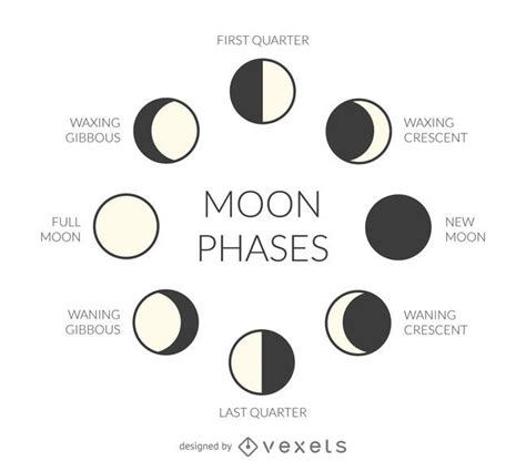 Phases Of The Moon Drawing Activity