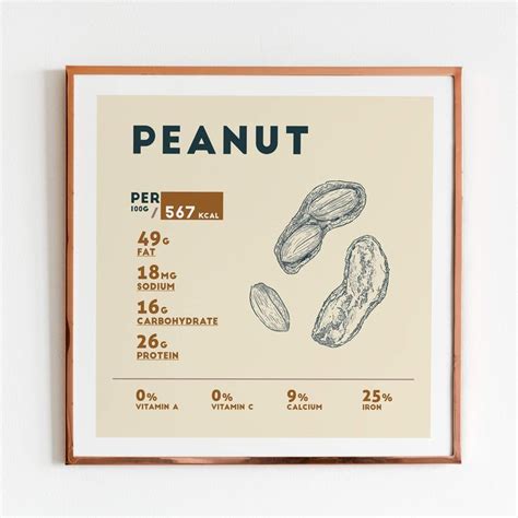 Peanut Nutrition Facts, 10 x 10 | Peanuts nutrition, Nutrition poster, Nutrition infographic