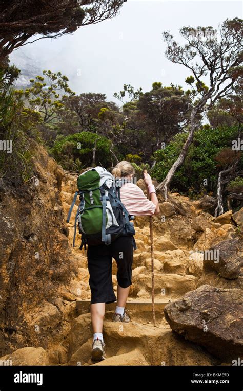 Woman hiking the Mt Kinabalu summit trail. Kinabalu National Park, Sabah, Borneo, Malaysia Stock ...