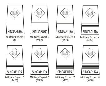 Singapore Military Army Ranks | Official