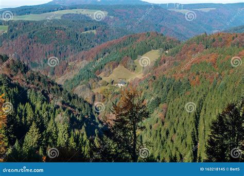 Black Forest View, Baden-Wurttemberg Germany Stock Image - Image of ...