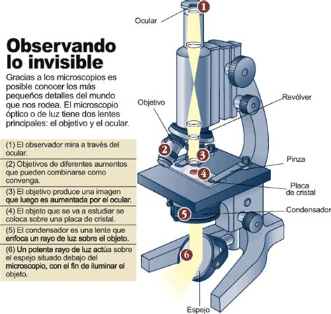 Avances tecnológicos del siglo XVI - Icarito