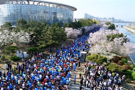 荣成海滨樱花林下，万人马拉松开跑_齐鲁_长跑_赛道