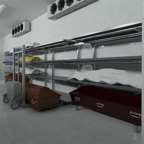 big hd anatomy laboratory equipment 3d model