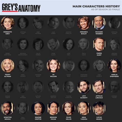 Grey's Anatomy - Main Characters History (as of Season 20) : r/greysanatomy