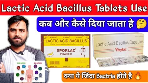 lactic acid bacillus tablets use | lactic acid bacillus powder | lactic ...