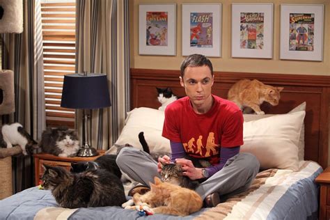 How did Sheldon Cooper win the Nobel Prize?