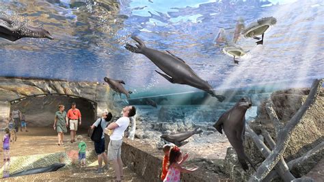 Houston Zoo launches capital campaign for new exhibits, campus redevelopment - Houston Business ...