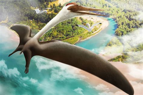 Quetzalcoatlus, the largest flying animal of all time | Earth Archives