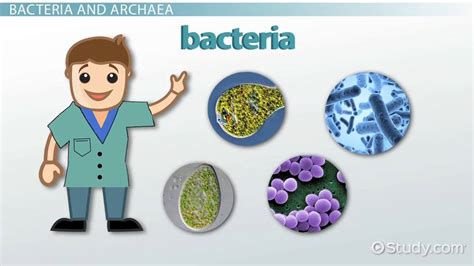 Microorganism | Definition, Types & Examples - Lesson | Study.com