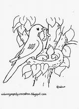 Robin In Nest Coloring Page  ColoringBay sketch template