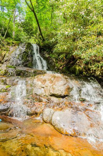 Smoky mountains attractions – Artofit