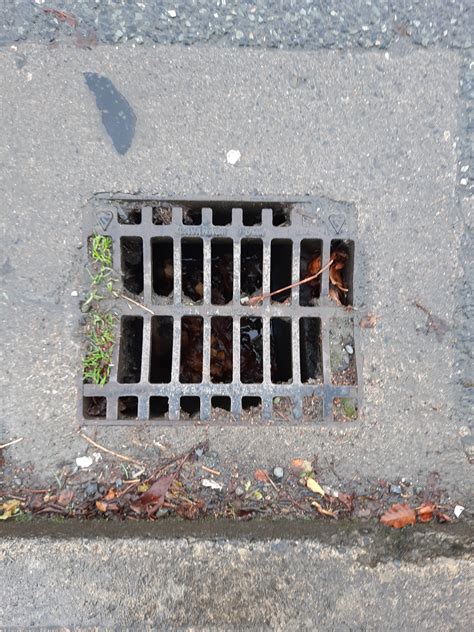 Rain Gullies & Surface Water • Mount Merrion Residents Association