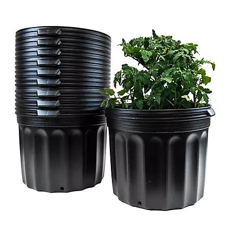 Viagrow 10 gal. Plastic Nursery Pots, BPA Free, 10-Pack at Tractor ...