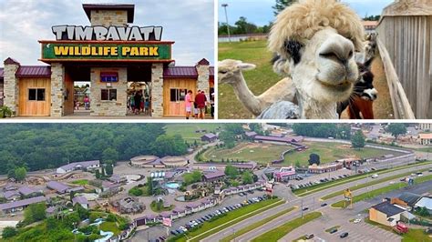 Timbavati Wildlife Park In The Wisconsin Dells (Full Tour) - YouTube