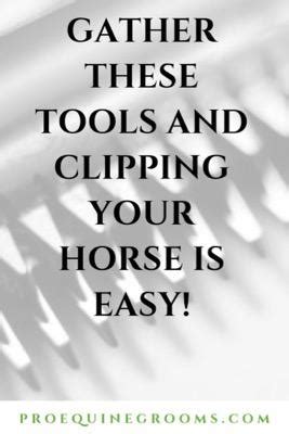 The Best Tools for Clipping Your Horse - Pro Equine Grooms