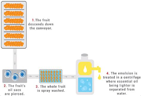 Cold Pressed Method/ Expression Method of Essential Oil Extraction... | Download Scientific Diagram