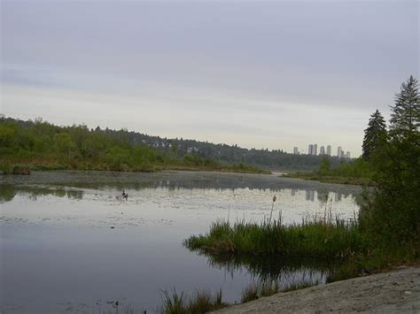 Burnaby Lake Regional Nature Park - All You Need to Know BEFORE You Go ...