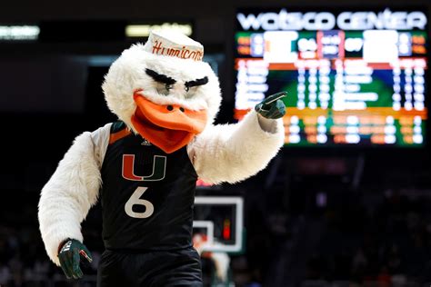 This Week in Miami Hurricanes Basketball: 2/20 Edition - State of The U