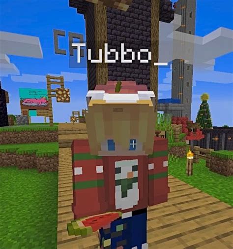 tubbo ♡︎ | Mc skins, Find picture, How to play minecraft