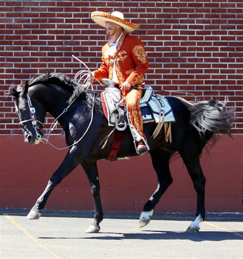 Dancing horse with charro - my photo (c)2013 | Horses, Animals, Photo