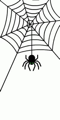 Spider GIF - Spider - Discover & Share GIFs