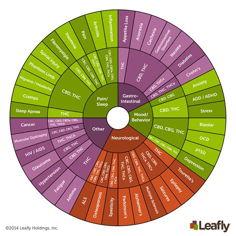 Cannabinoids 101: What Makes Cannabis Medicine? - Medical Cannabis Report