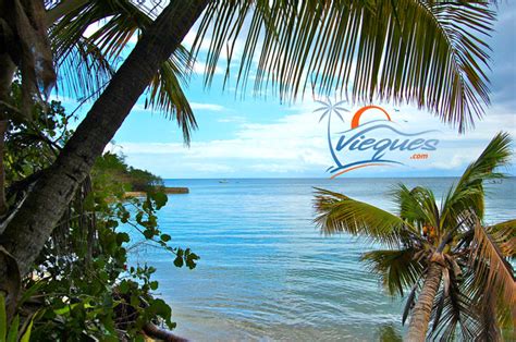 Punta Arenas “Green Beach” – Vieques, Puerto Rico | Vieques