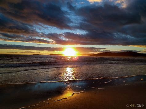 Popham Beach - See Swim