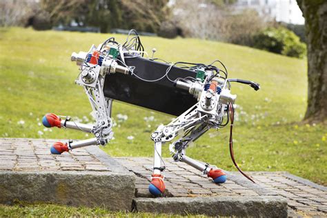 Four-legged robot that efficiently handles challenging terrain - Robohub